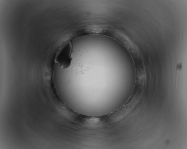 X0000103440374200809121409