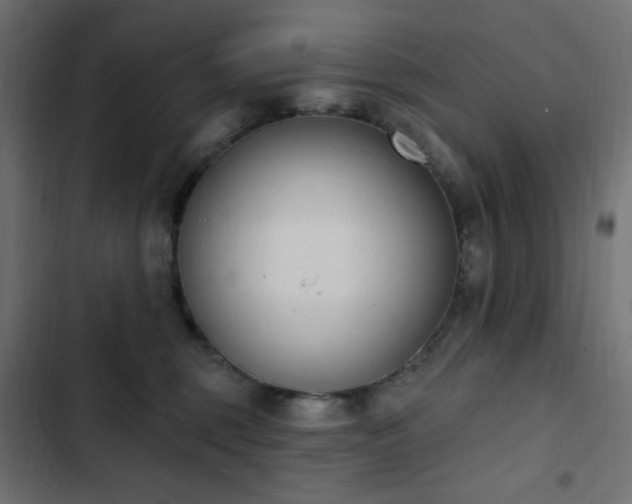 X0000103440375200809121409
