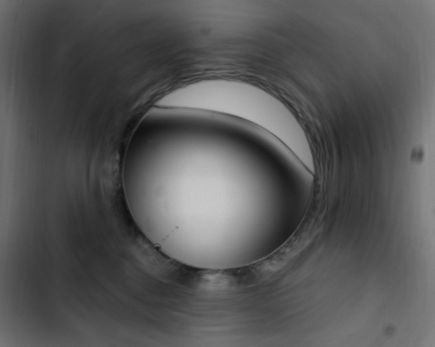 X0000103440376200809121409