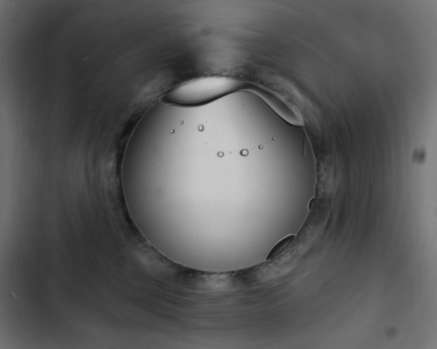 X0000103440377200809121409
