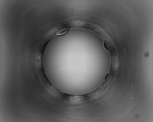 X0000103440378200809121409