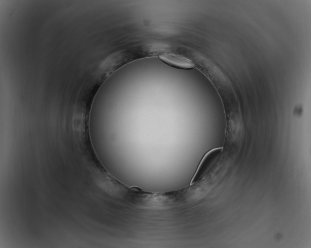 X0000103440379200809121409