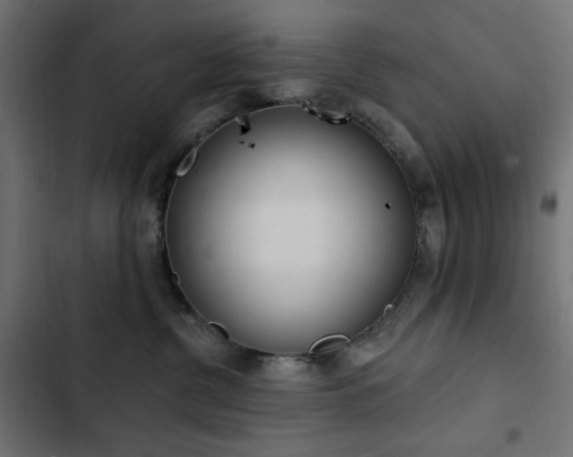 X0000103440380200809121409