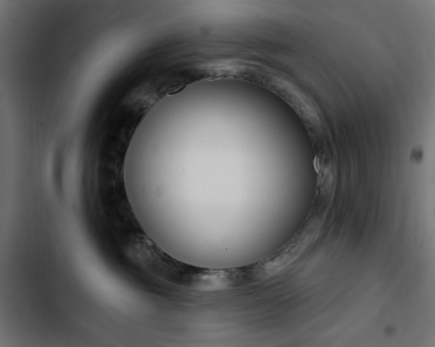 X0000103440381200809121409