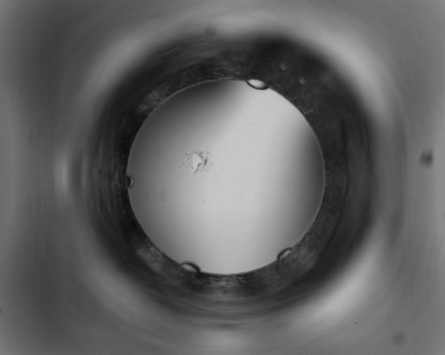 X0000103440382200809121409