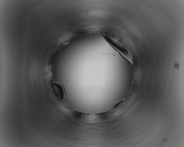 X0000103440383200809121409
