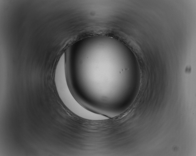 X0000103440384200809121409