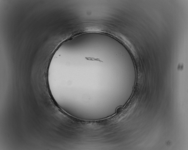 X0000103440385200809121408