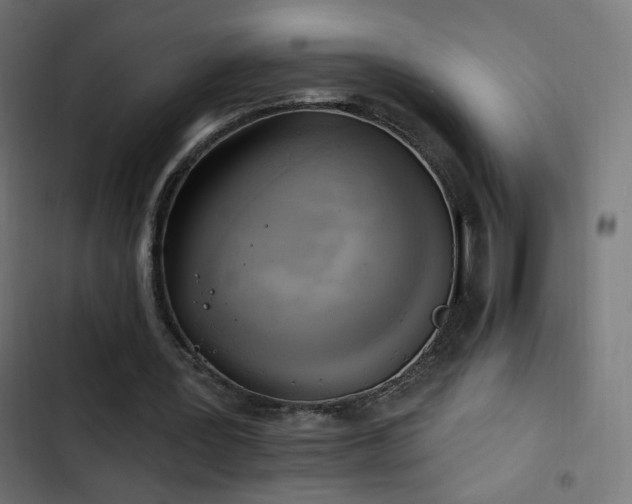 X0000103440387200809121408