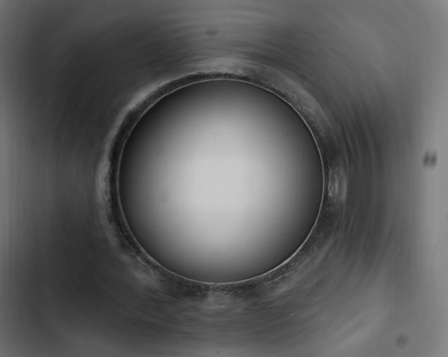 X0000103440388200809121408