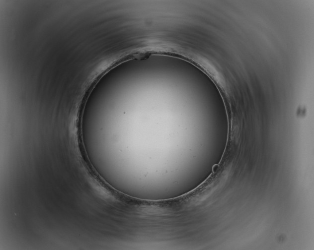 X0000103440389200809121408