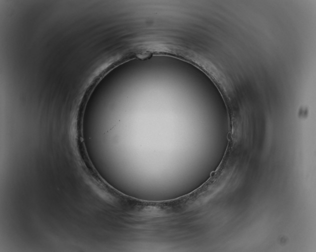 X0000103440390200809121408