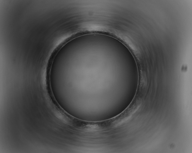 X0000103440391200809121408