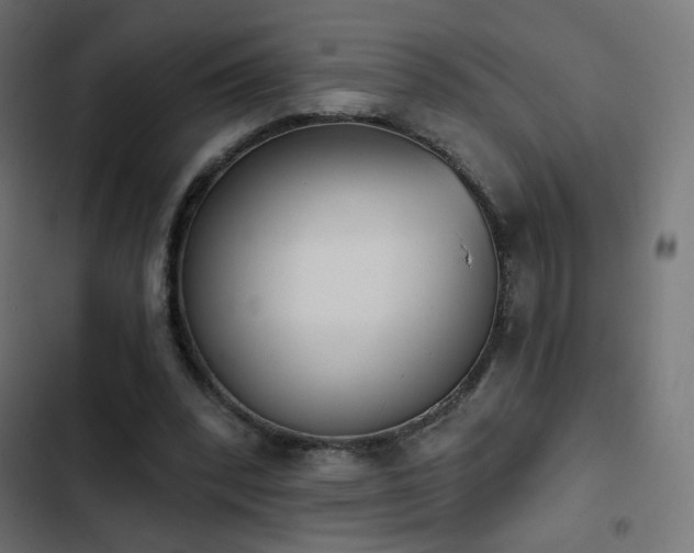 X0000103440392200809121408