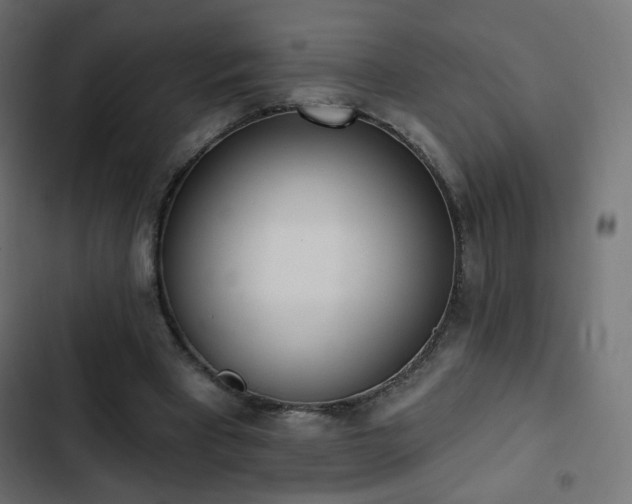X0000103440393200809121408