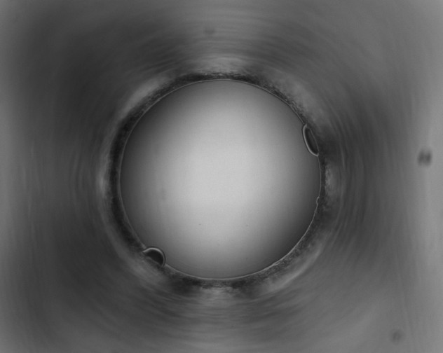 X0000103440396200809121408