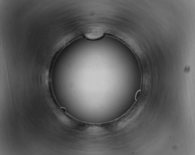 X0000103440397200809121408