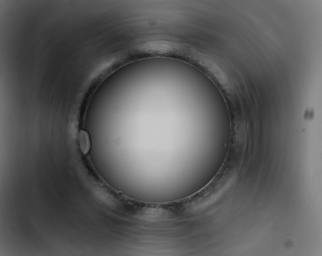 X0000103440399200809121408