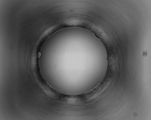 X0000103440400200809121408