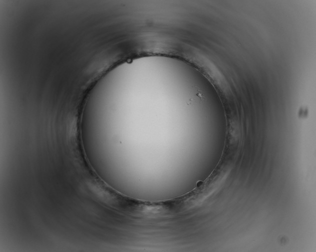 X0000103440401200809121408
