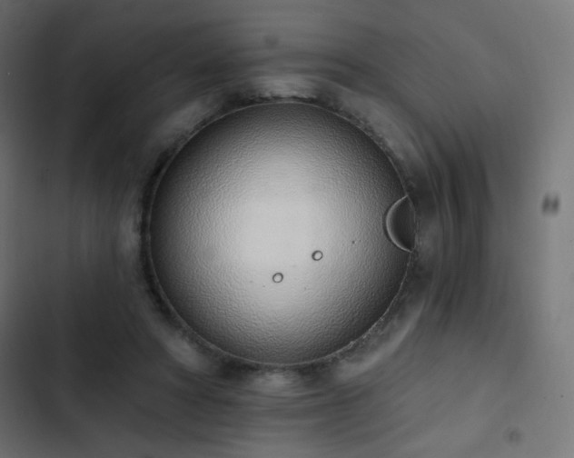 X0000103440402200809121408