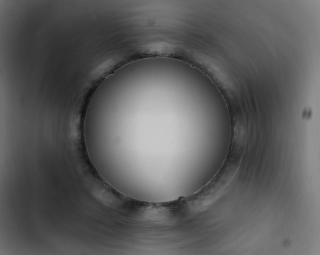 X0000103440403200809121408