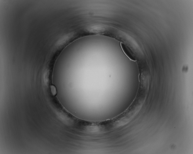 X0000103440404200809121408