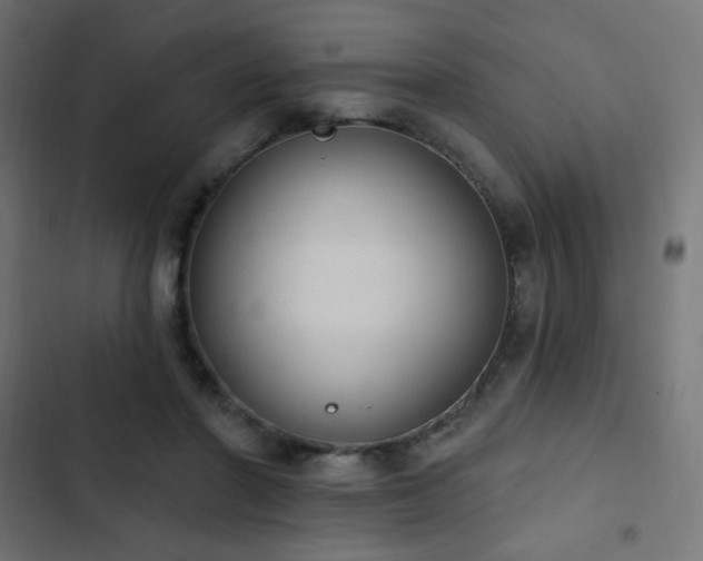 X0000103440406200809121408