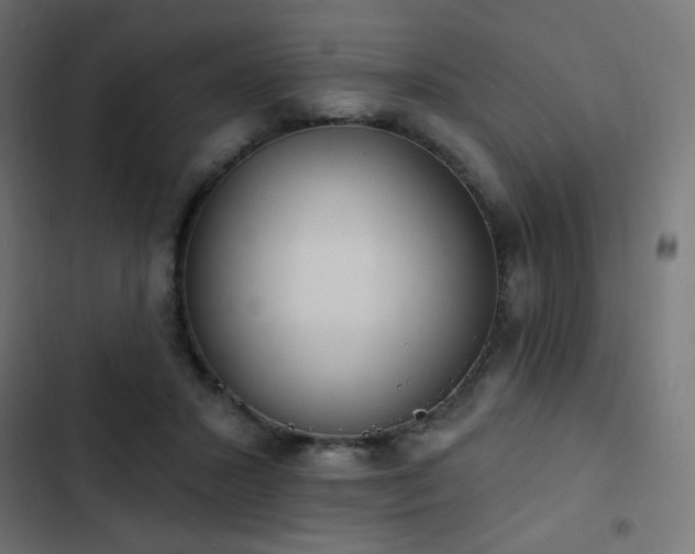 X0000103440407200809121408