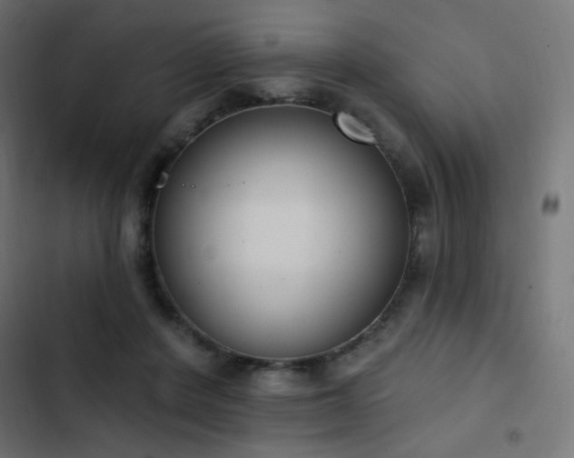 X0000103440408200809121408