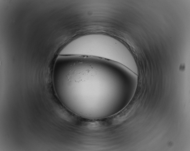 X0000103440411200809121408