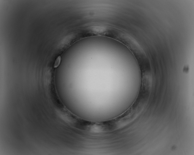 X0000103440412200809121408