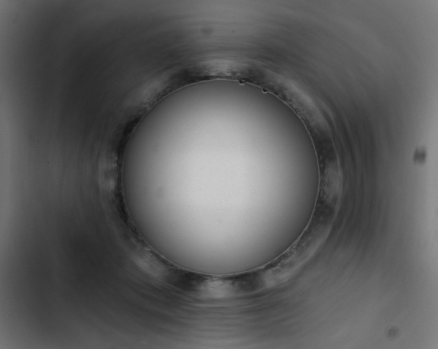 X0000103440413200809121408