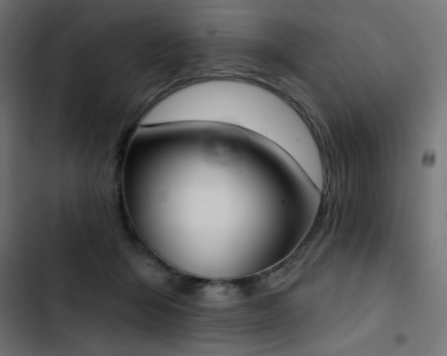 X0000103440415200809121408