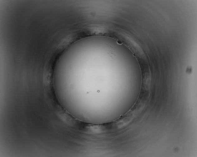 X0000103440417200809121408