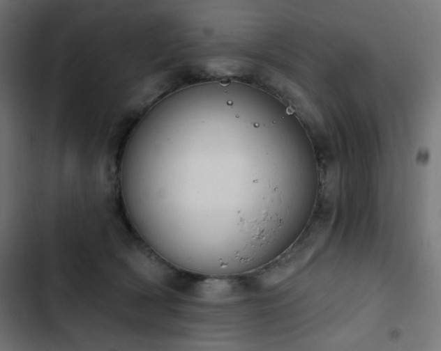 X0000103440418200809121408