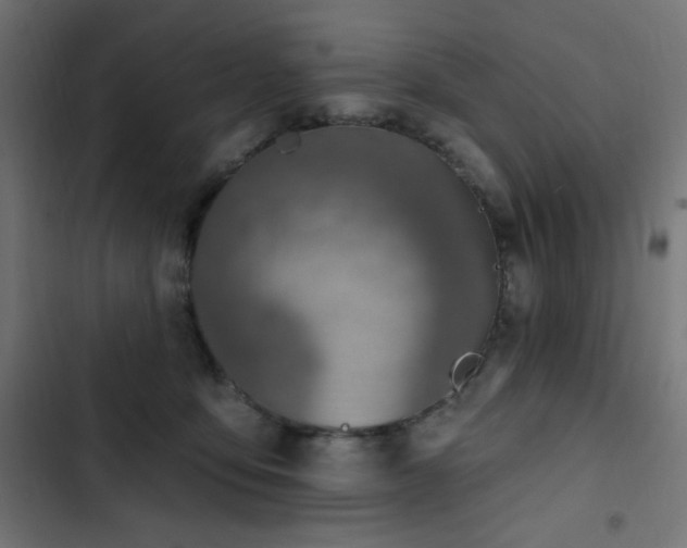 X0000103440419200809121408