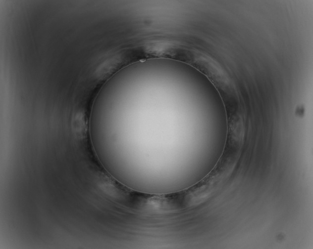 X0000103440420200809121408