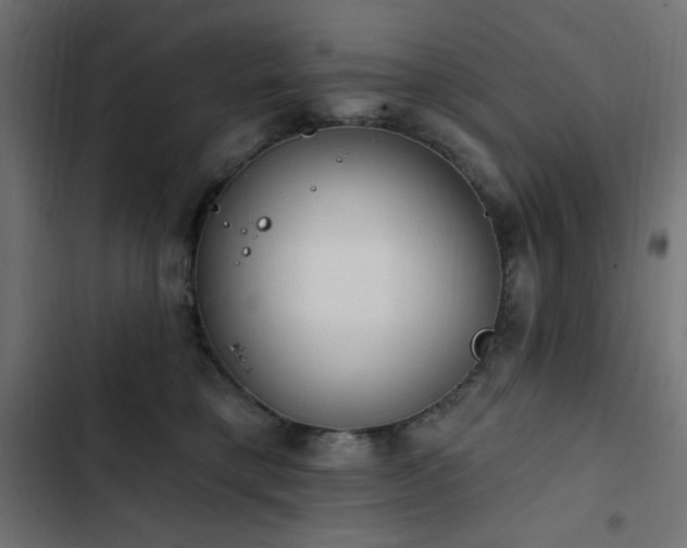 X0000103440421200809121408