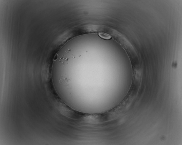 X0000103440422200809121408