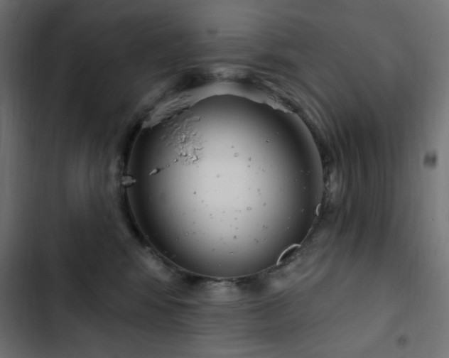 X0000103440424200809121408
