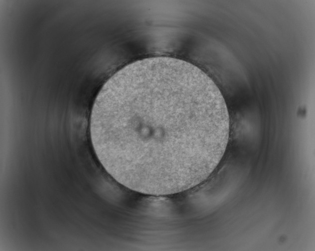 X0000103440427200809121408