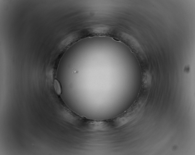 X0000103440428200809121408