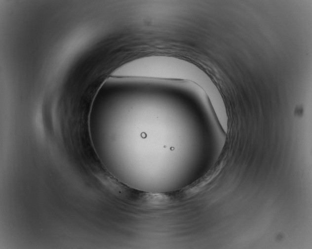 X0000103440429200809121408