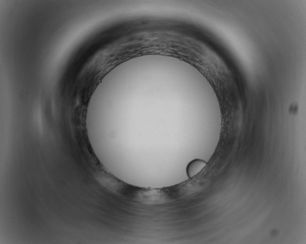 X0000103440431200809121407