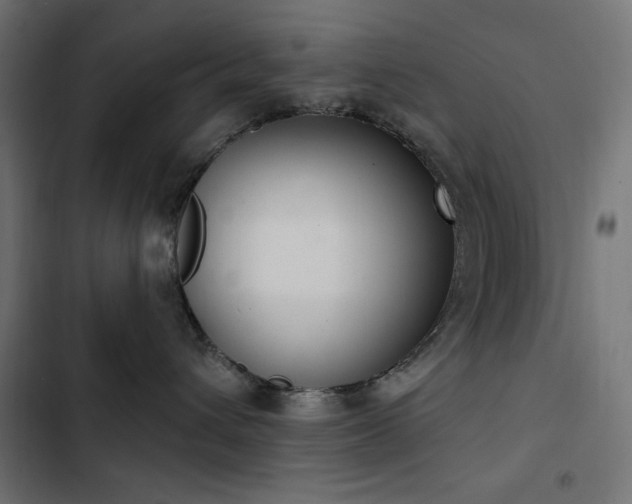 X0000103440432200809121407