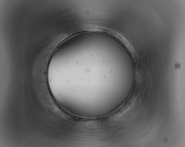 X0000103440433200809121407