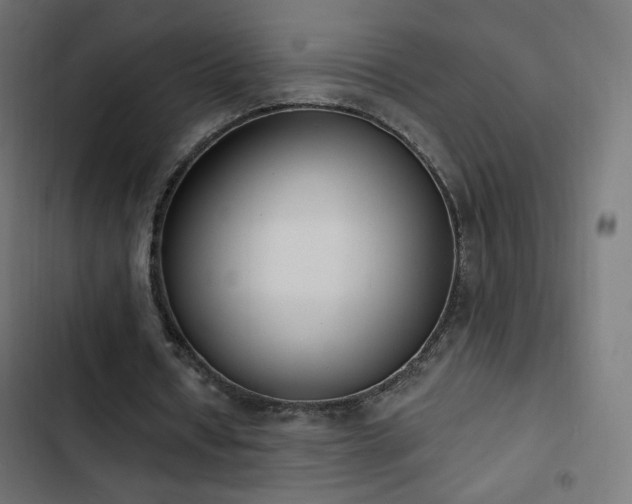 X0000103440434200809121407