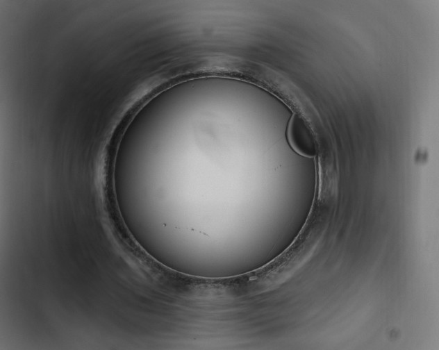 X0000103440435200809121407