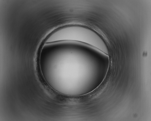 X0000103440436200809121407